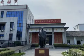走向我们的小康生活｜安徽舒茶镇：一片叶子富一方百姓图片