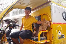 快递小哥收留流浪狗，风雨无阻陪送快递：它是大家的朋友，送货回来看见就觉得暖心图片