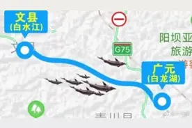 大型鲟鱼因暴雨逃逸至四川 甘肃：企业已组织捕捞图片