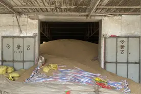 探访中国小麦第一县：种粮大户谷满仓，农民留粮在手等好价图片