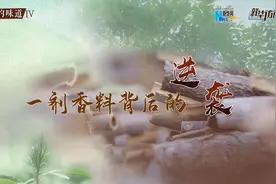 【四季的味道IV】一剂香料背后的“逆袭”视频封面