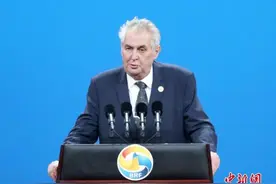 外媒：捷克总统泽曼因手臂受伤住院 将进行手术图片
