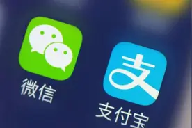 微信支付和支付宝的差距有多大？收入差了三成吧图片