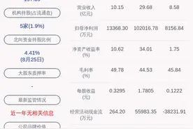 扭亏为盈！朗新科技：2019年半年度净利润约4.79亿元，同比增加1059.59%图片