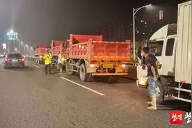 货车“组团”上高架，交警处罚没商量图片