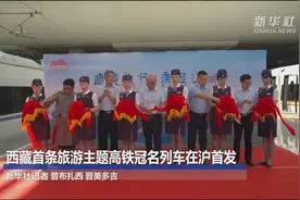 西藏首条旅游主题高铁冠名列车在沪首发视频封面