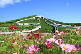 幸福花开新边疆｜乌兰浩特天骏山：废弃采石场蜕变成格桑花海图片