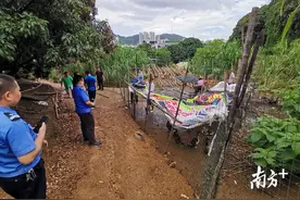 雷霆出击！东莞又一批违法建筑被拆除图片