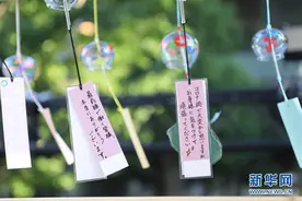 日本东京：疫情中的夏日风铃展图片