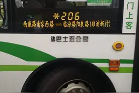 注意了！本周六起206路公交线路临时调整图片