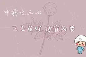 三七虽好 适宜为要视频封面