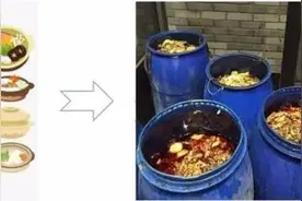 吃素，有利于餐厨垃圾处理吗？图片
