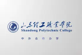 专业解密丨山东理工职业学院——中外合作办学视频封面
