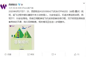 疑似遭外来小动物入侵，合肥至重庆一架客机起飞过程中返航图片