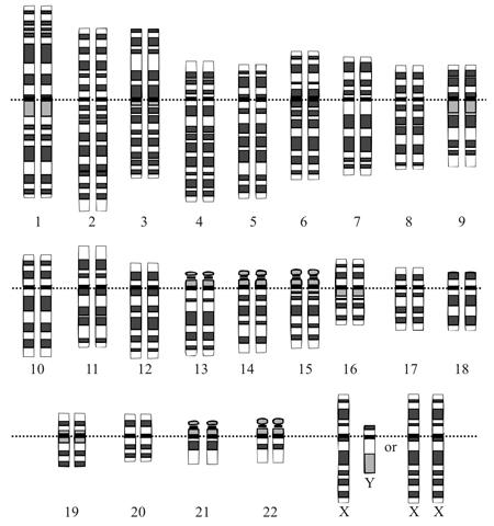 “一基因一酶”的前世今生