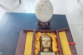 糟糕！郑州男子的“鸵鸟蛋”和“铜佛像”丢了！心情像坐过山车……图片