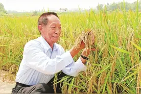 今天是袁隆平的90岁农历生日，他曾说“不能躺在功勋簿上睡大觉”图片