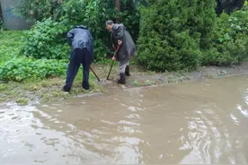 龙口迎入汛以来最大暴雨图片