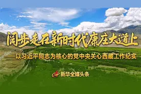 阔步走在新时代康庄大道上——以习近平同志为核心的党中央关心西藏工作纪实图片