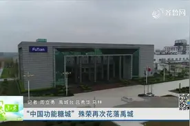 从产品原料到终端产品！“中国功能糖城”殊荣再次花落德州禹城视频封面
