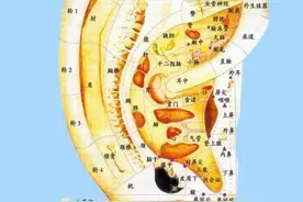 戴耳环、项链只是为了好看？专家：正确佩戴能养生图片