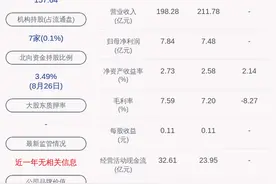 亮眼！广深铁路：2020年半年度净利润约6.14亿元，同比增加180.56%图片