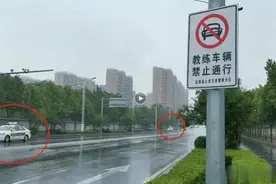 洛阳：正规教练车被处罚，蓝牌车却可正常模拟 回应称人家有手续图片
