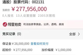 所持8824万股利欧股份股票将被司法拍卖 33岁富豪的20亿身家去哪儿了？图片