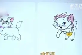新华视点｜“网上养猫”原是传销骗局 “高额回报”陷阱需警惕视频封面