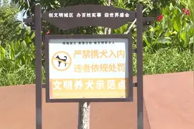养犬人士注意，北京这个区所有公园、广场禁止遛狗视频封面