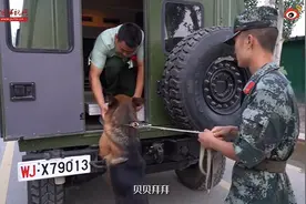 泪目！训导员退伍警犬扒着车不让走，网友都被他们感动：太好哭了图片
