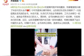 温暖的重逢！时隔五个月，金毛犬一眼认出她图片