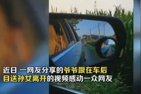 热泪盈眶！孙女离开爷爷一路追车告别图片