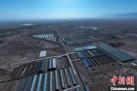 甘肃酒泉“唤醒”戈壁滩：从“风吹石头跑”到“一座温室十亩田”图片