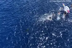 2米长鲨鱼逼近船员 美国海岸警卫队员开枪击退图片