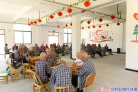 河南唐河县黑龙镇：建强脱贫“党建链”图片