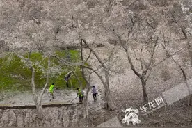 关注灾后重建｜冲洗草坪、清洁站台、“奇幻漂流”熊本熊回归……他们用双手还城市靓丽图片