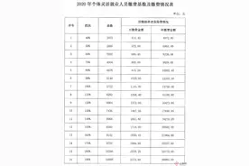 27个缴费档次！2020年云南省个体灵活就业人员社保缴费标准出炉图片