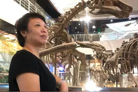 探秘中国古动物馆：那些不可思议的远古生物图片