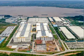 湖北宜都：小虫草成就大产业图片