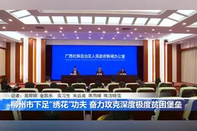 柳州市下足“绣花”功夫，奋力攻克深度极度贫困堡垒视频封面