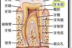 原来牙齿敏感的疼痛也是有度数的图片
