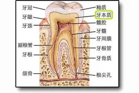 原来牙齿敏感的疼痛也是有度数的图片