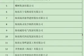 2020海南民营企业100强榜单出炉（附名单图）图片