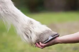 同一物，天南地北的叫法竟差这么多图片