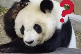3人点3份黄瓜花生米，喝了117瓶啤酒！网友：但凡有人起来结账，也不至于喝这么多图片