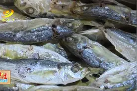 阳西：上洋波浪鱼干热销图片