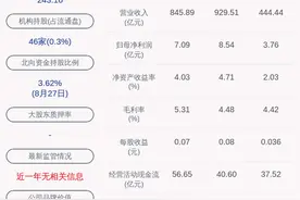 交卷！铜陵有色：2020年半年度净利润约3.76亿元，同比下降9.23%图片
