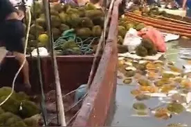广西东兴一货船侧翻 村民哄抢榴莲并出现食物中毒 卫健局：停止食用并自行销毀图片