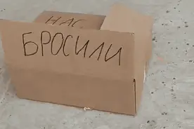 三只被遗弃的奶喵给猞猁养是什么画风？眼神都逐渐超凶了图片